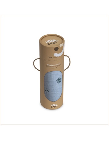 Muselina 1. 20 x 1. 20  Mod Duendesdelpolvo Azul