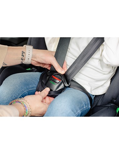 Silla de Coche Alea Gris