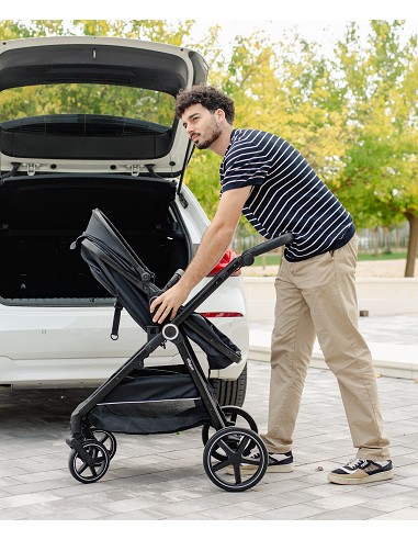 Carro de Paseo 2 En 1 Capazo+Silla Modelo Versa...