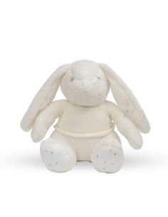 Peluche Para Bordar Modelo Conejo Beig