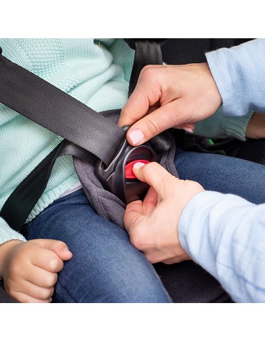 Silla de Coche Mod Sella Gris