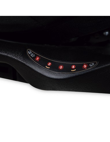 Silla de Coche Modelo Pax Gris