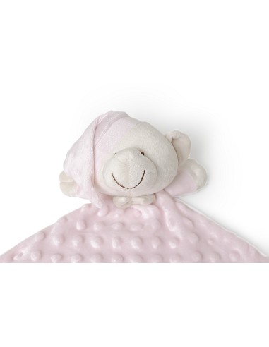 Set Cojin Antiplagocelafia+Dou Dou Rosa