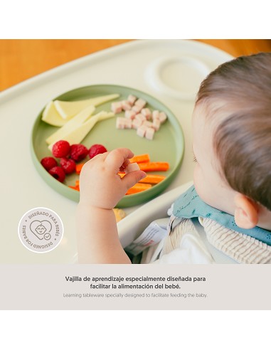 Vajilla Aprendizaje Verde Oliva