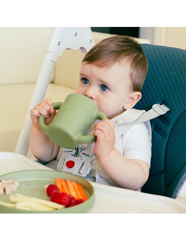 Vajilla Aprendizaje Verde Oliva