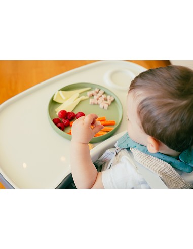 Vajilla Aprendizaje Verde Oliva