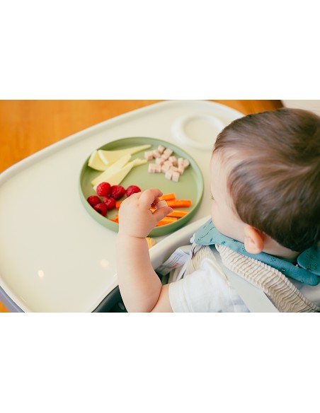 Vajilla Aprendizaje Verde Oliva