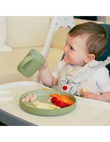 Vajilla Aprendizaje Verde Oliva