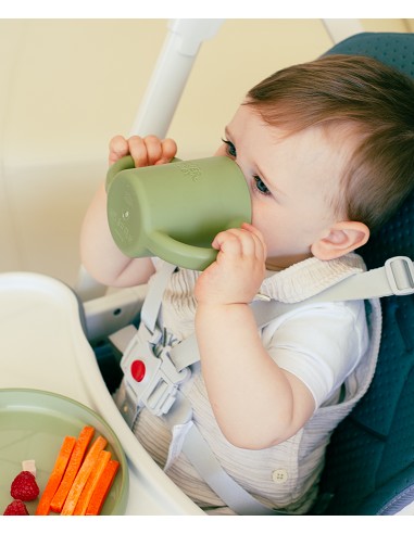 Vajilla Aprendizaje Verde Oliva