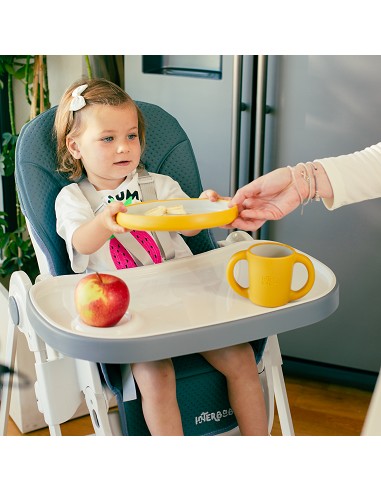 Vajilla Aprendizaje Ocre Tierra