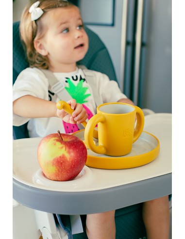 Vajilla Aprendizaje Ocre Tierra