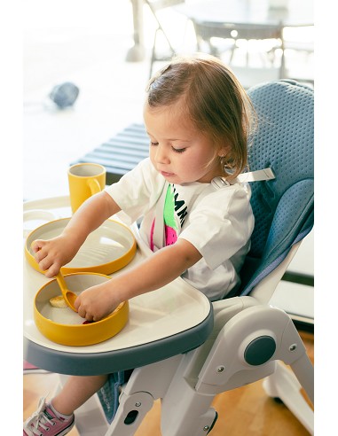 Vajilla Aprendizaje Ocre Tierra