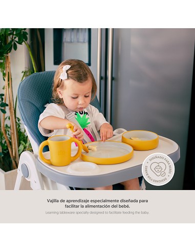 Vajilla Aprendizaje Gris Petroleo