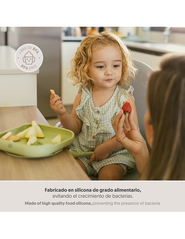 Plato Llano de Silicona Verde Oliva