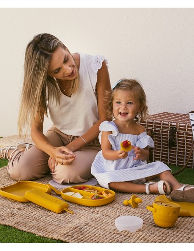Plato Llano de Silicona Ocre Tierra