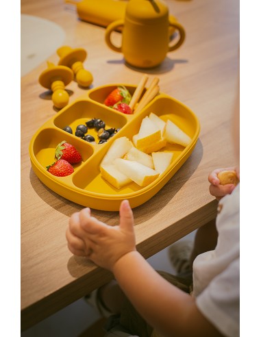 Plato Mas Tapa de Silicona Gris Petroleo