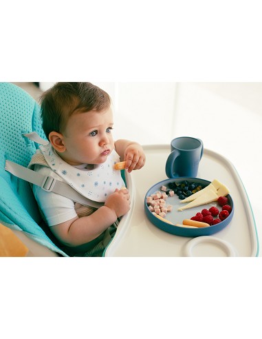 Trona Aluminio Mod Comfort Eat Verde