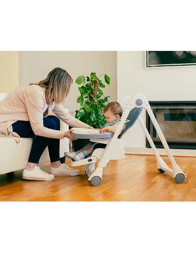 Trona Aluminio Mod Comfort Eat Gris