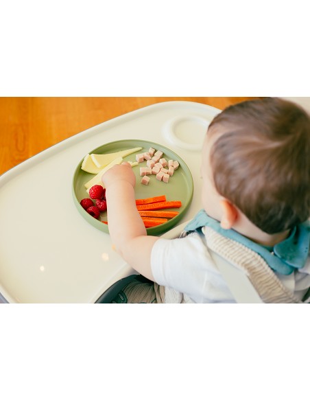 Trona Aluminio Mod Comfort Eat Gris