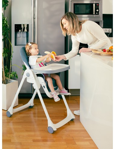 Trona Aluminio Mod Comfort Eat Gris