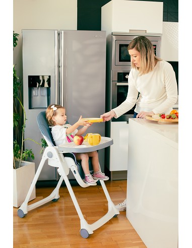 Trona Aluminio Mod Comfort Eat Gris