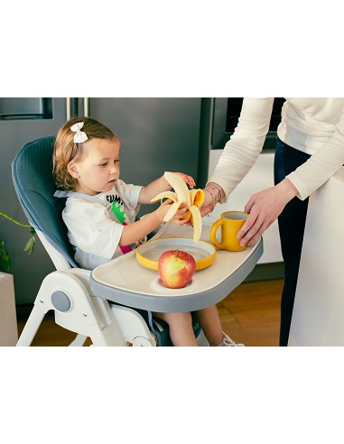 Trona Aluminio Mod Comfort Eat Gris