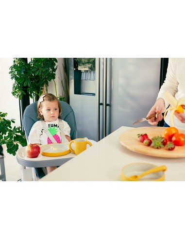 Trona Aluminio Mod Comfort Eat Gris