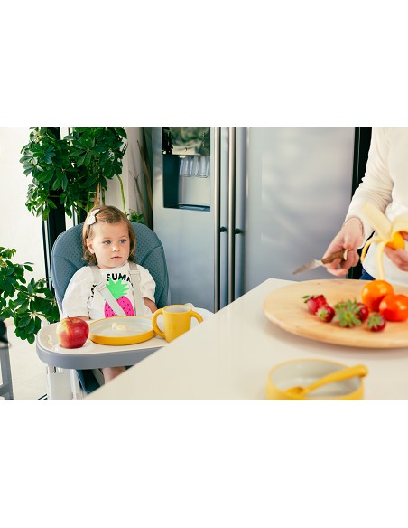 Trona Aluminio Mod Comfort Eat Gris