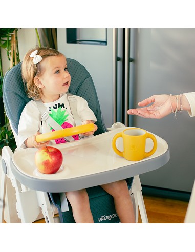 Trona Aluminio Mod Comfort Eat Gris