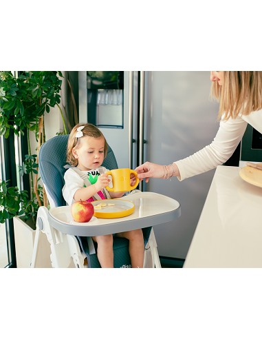 Trona Aluminio Mod Comfort Eat Gris