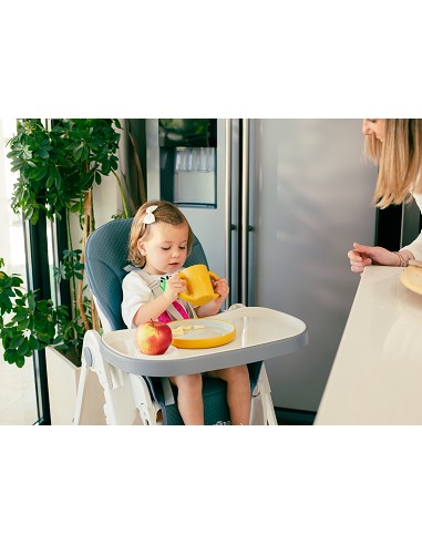 Trona Aluminio Mod Comfort Eat Gris