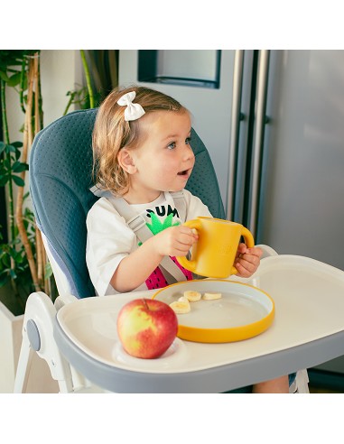 Trona Aluminio Mod Comfort Eat Gris