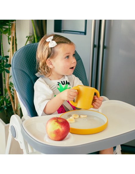 Trona Aluminio Mod Comfort Eat Gris