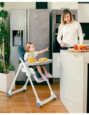 Trona Aluminio Mod Comfort Eat Gris