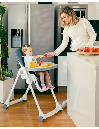 Trona Aluminio Mod Comfort Eat Gris