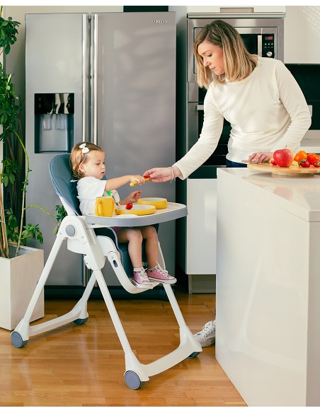 Trona Aluminio Mod Comfort Eat Gris