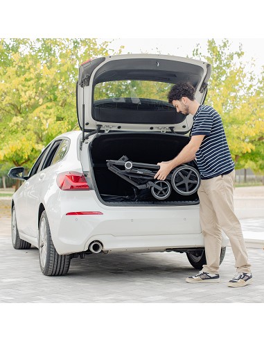 Carro de Paseo 2 En 1 Capazo+Silla Modelo Versa...