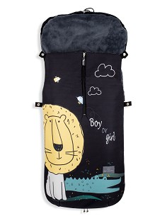 Saco Carro Mod  Leon