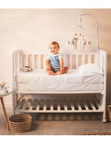 Peluche Grande Sonajero Mod Leon