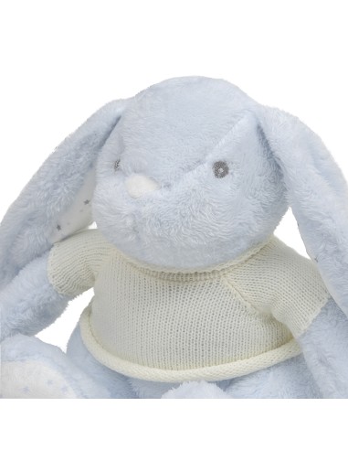Peluche Para Bordar Modelo Conejo Azul