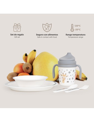 Set Vajilla 5 Pcs Mod Acuarela Gris