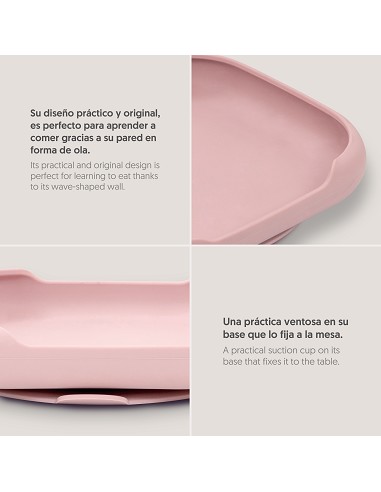 Plato Llano de Silicona Rosa Maquillaje