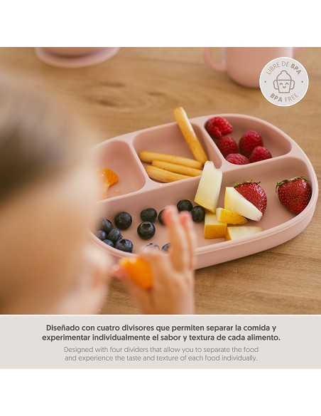 Plato Mas Tapa de Silicona Rosa Maquillaje