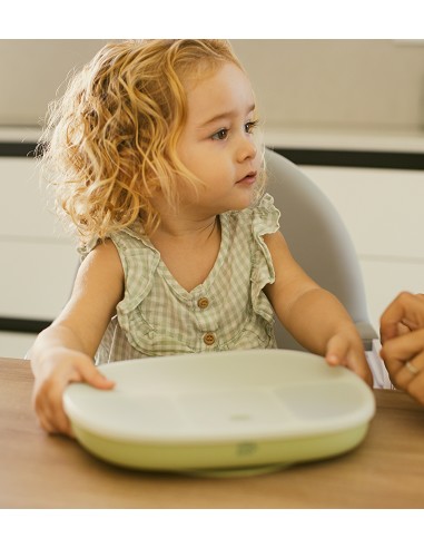 Plato Mas Tapa de Silicona Rosa Maquillaje