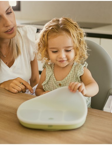 Plato Mas Tapa de Silicona Rosa Maquillaje