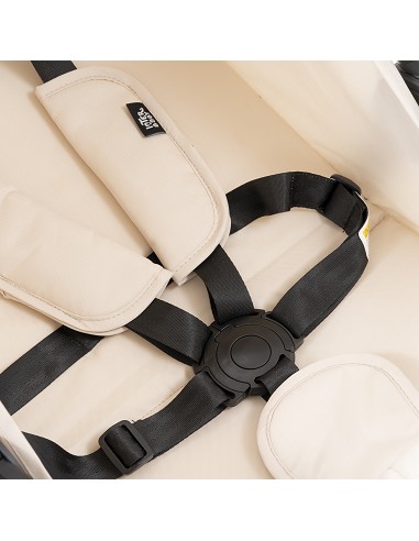 Silla Paseo New Beig