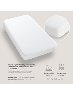 Protector Coche Plastificado 2