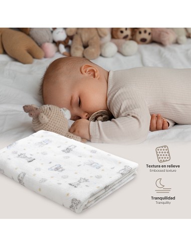 Manta Estampada Koala Azul