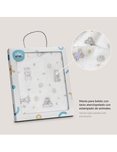 Manta Estampada Koala Azul