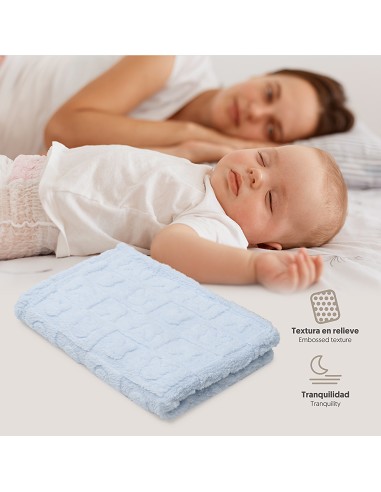 Manta Sherpa Grabada Conejitos Azul